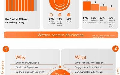 Web Stats Wednesday – Content Marketing in B2B